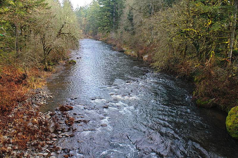 Oregon River 3